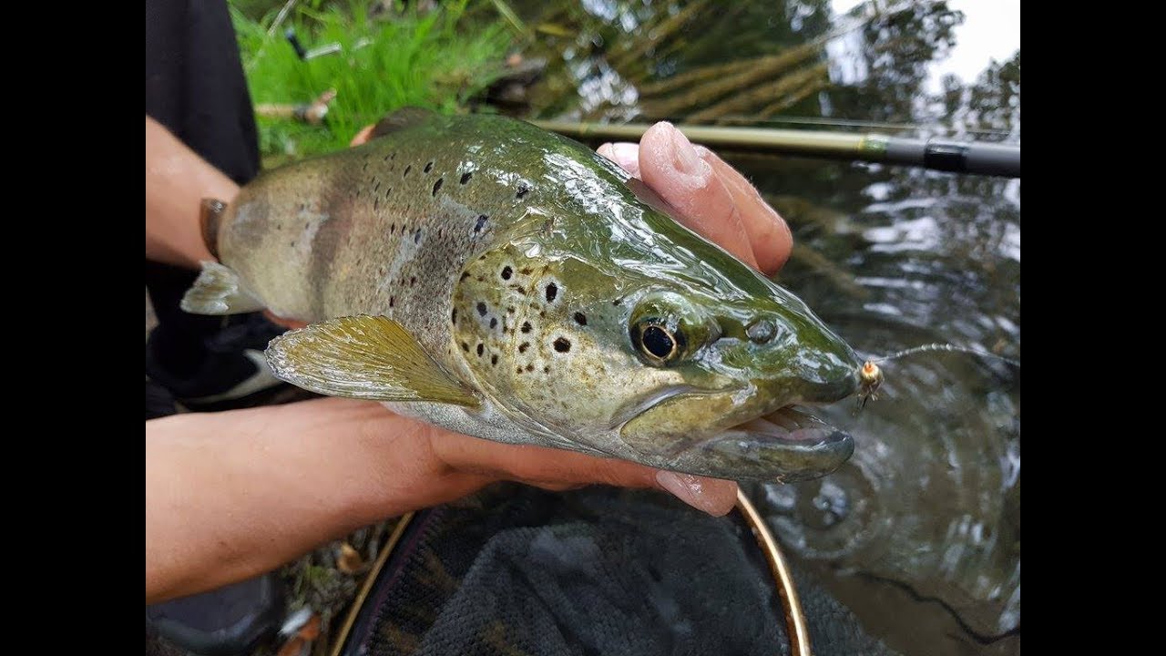 Saison de p&ecirc;che 2017 : Part 2 HD