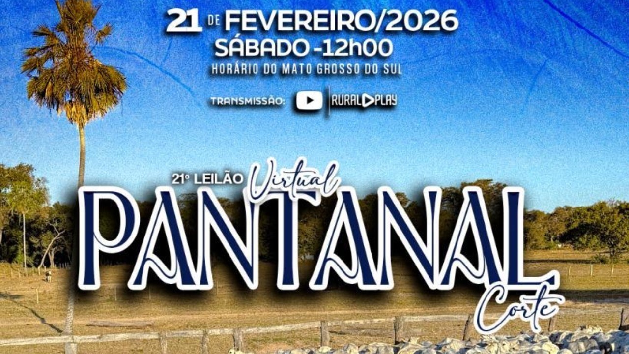 21° LEILÃO VIRTUAL PANTANAL CORTE - CORUMBA/MS - RURAL PLAY