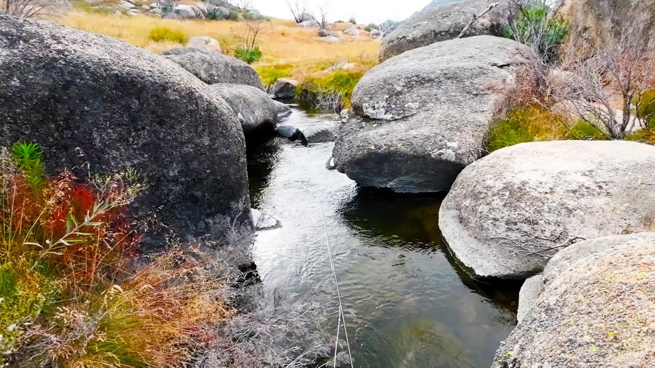 Trout fishing at Mt Buffalo