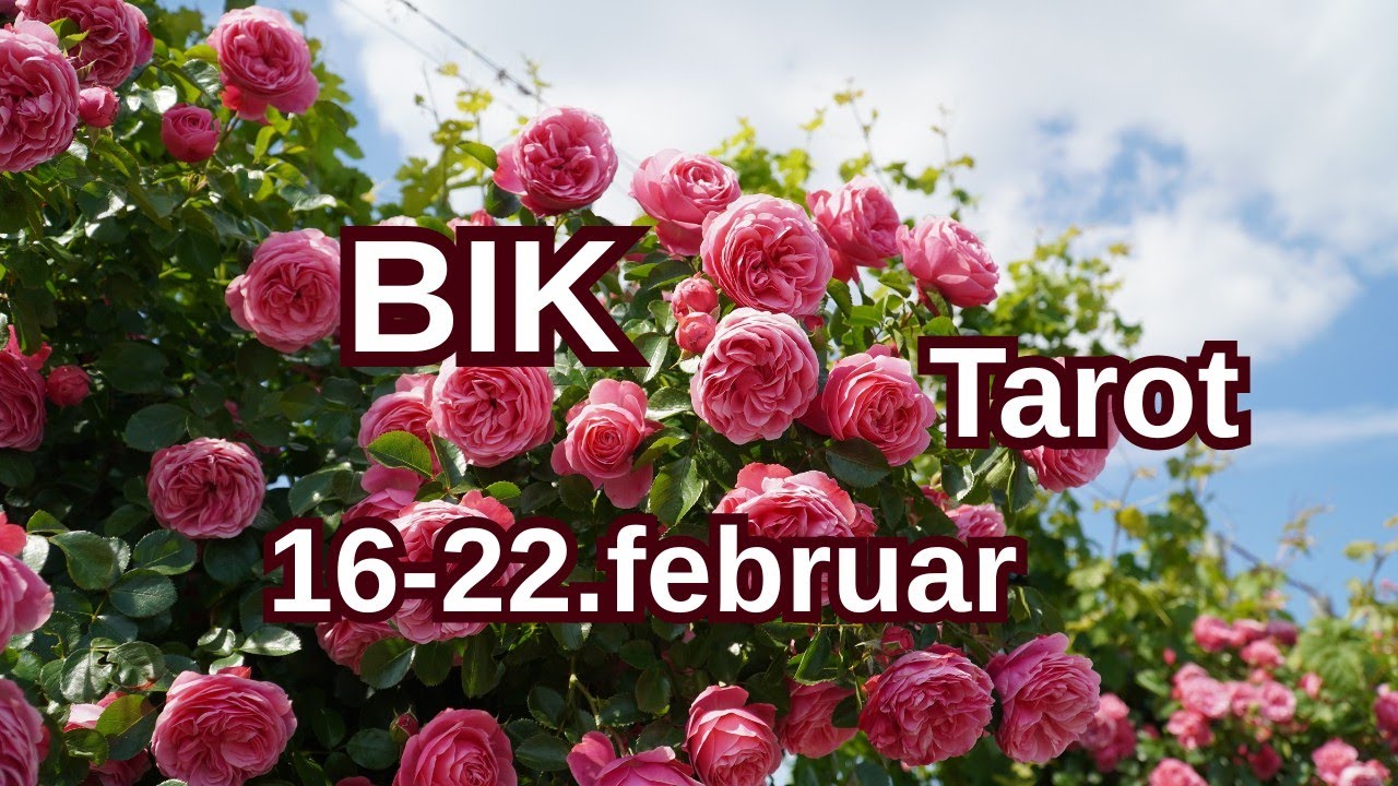 BIK ♉ Konačno olakšanje - kraj toksične priče 🤍 16-22.FEBRUAR TAROT