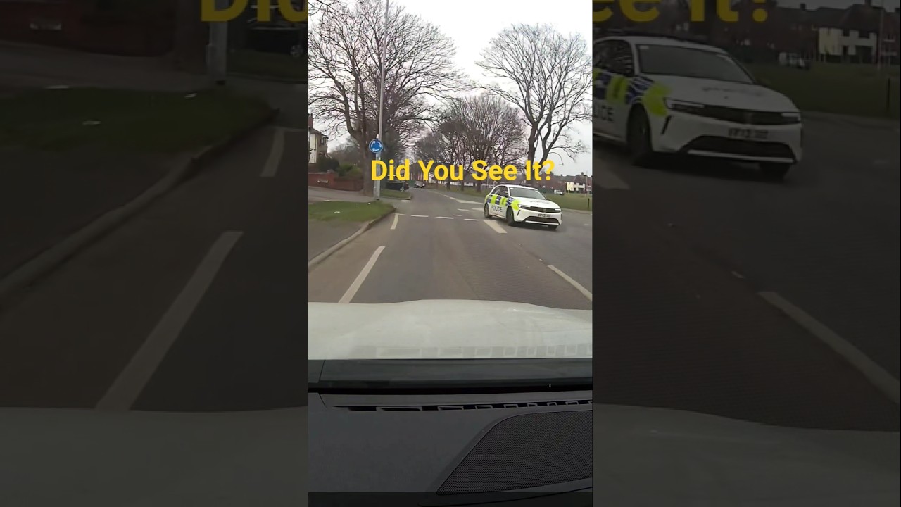 Driving Hazards on the road #road #roadsafety