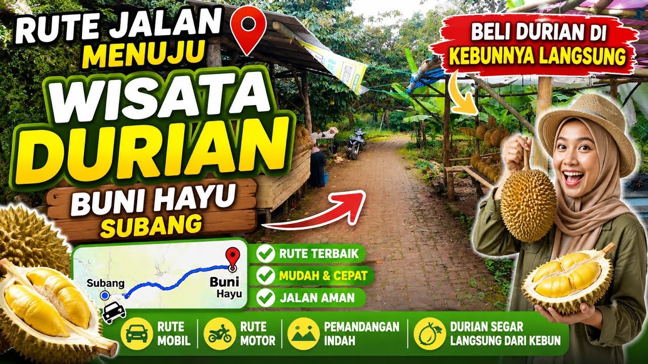 📍Rute Jalan Wisata Kebun Durian Bunihayu Subang Jawa Barat