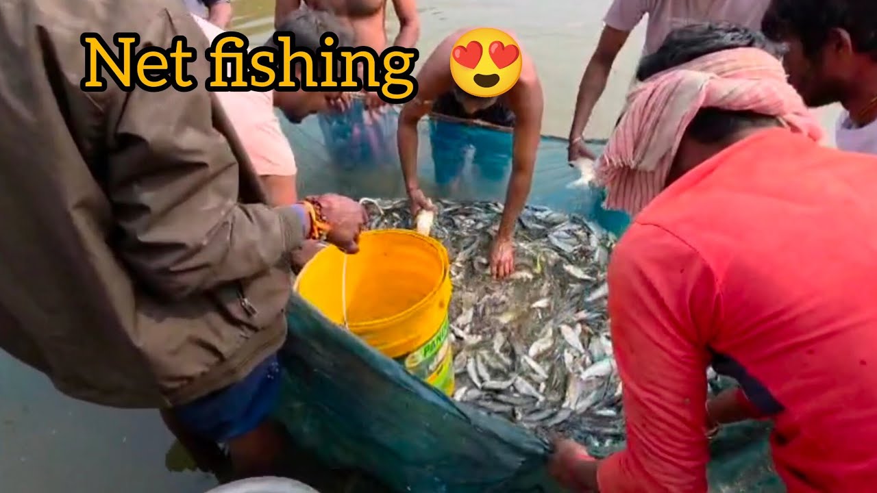 🤩Net fishing🤩#villagefarmingvlogs #fishingequipment #vlog #food 