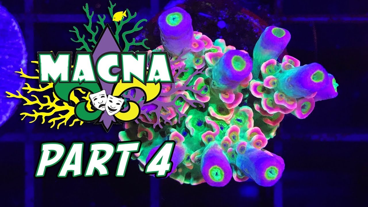 The Coral Tour of MACNA 2017 in New Orleans: Part 4