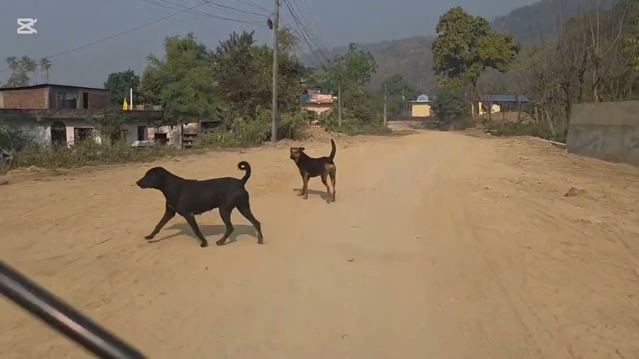 जिदगडि  को भित्रि  बाटो  बदेलपोखरि जिद्देसोरि जगै सालघारि  हुदै नया गाऊ  जाने बाटो  निन्णमाण हुदै 