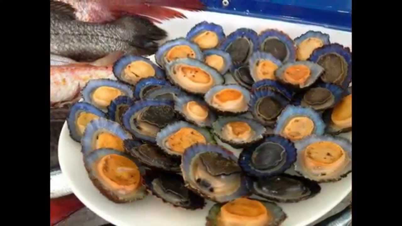 Restaurante Rincon del Marinero LOS CRISTIANOS  tucalidadturistica canarias