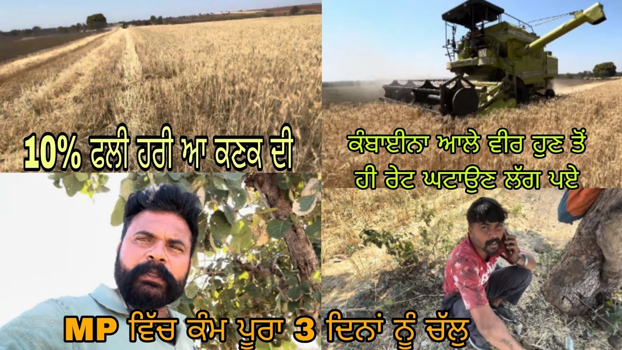 ਕੰਬਾਈਨਾ ਆਲੇ ਵੀਰਾਂ ਨੂੰ ਬੇਨਤੀ // 3 ਦਿਨਾਂ ਤੱਕ ਕੰਮ ਜ਼ੋਰਾਂ ਤੇ ਚੱਲੁ //@bittugobindgarh2295 