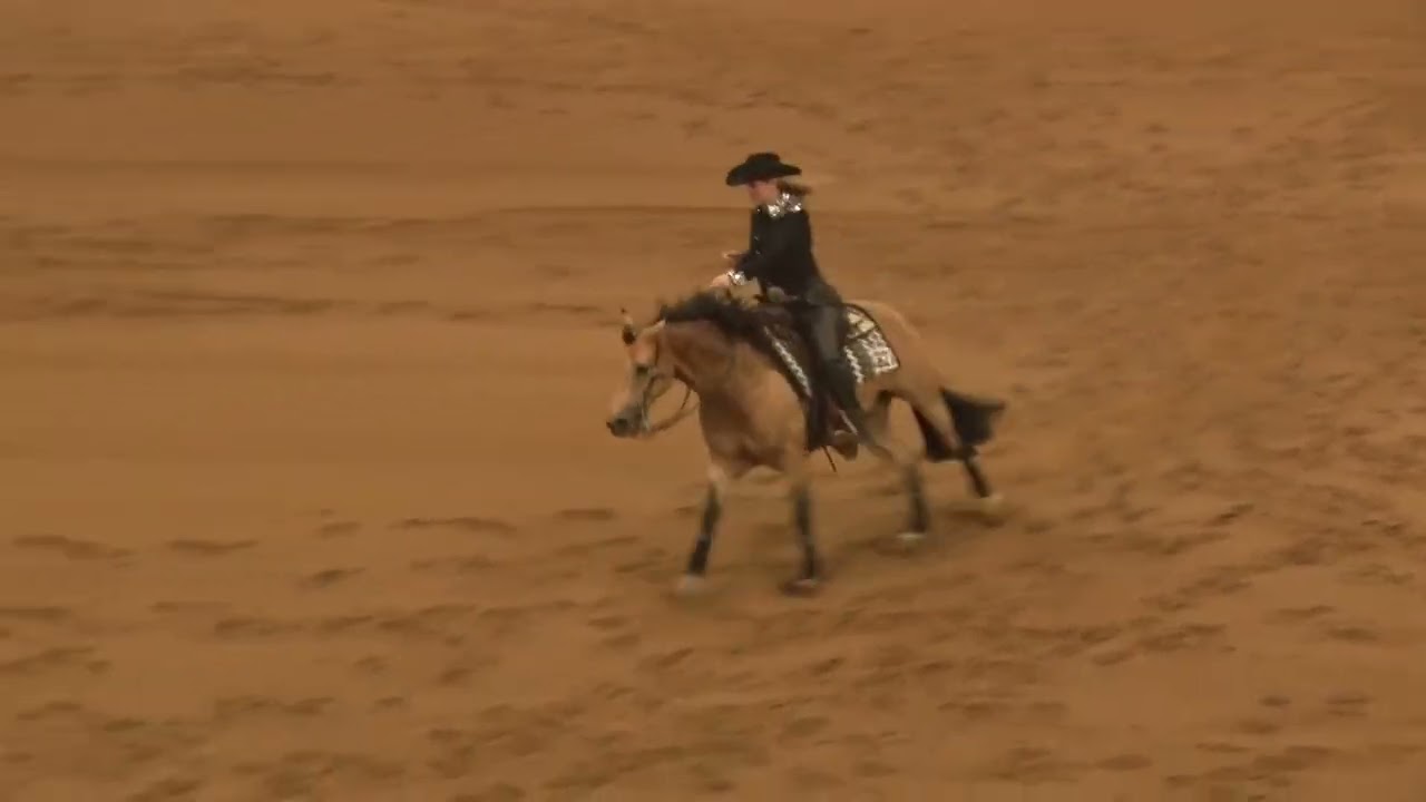 260320 NP Derby Kristen Leigh Mccoy on Spooktakular