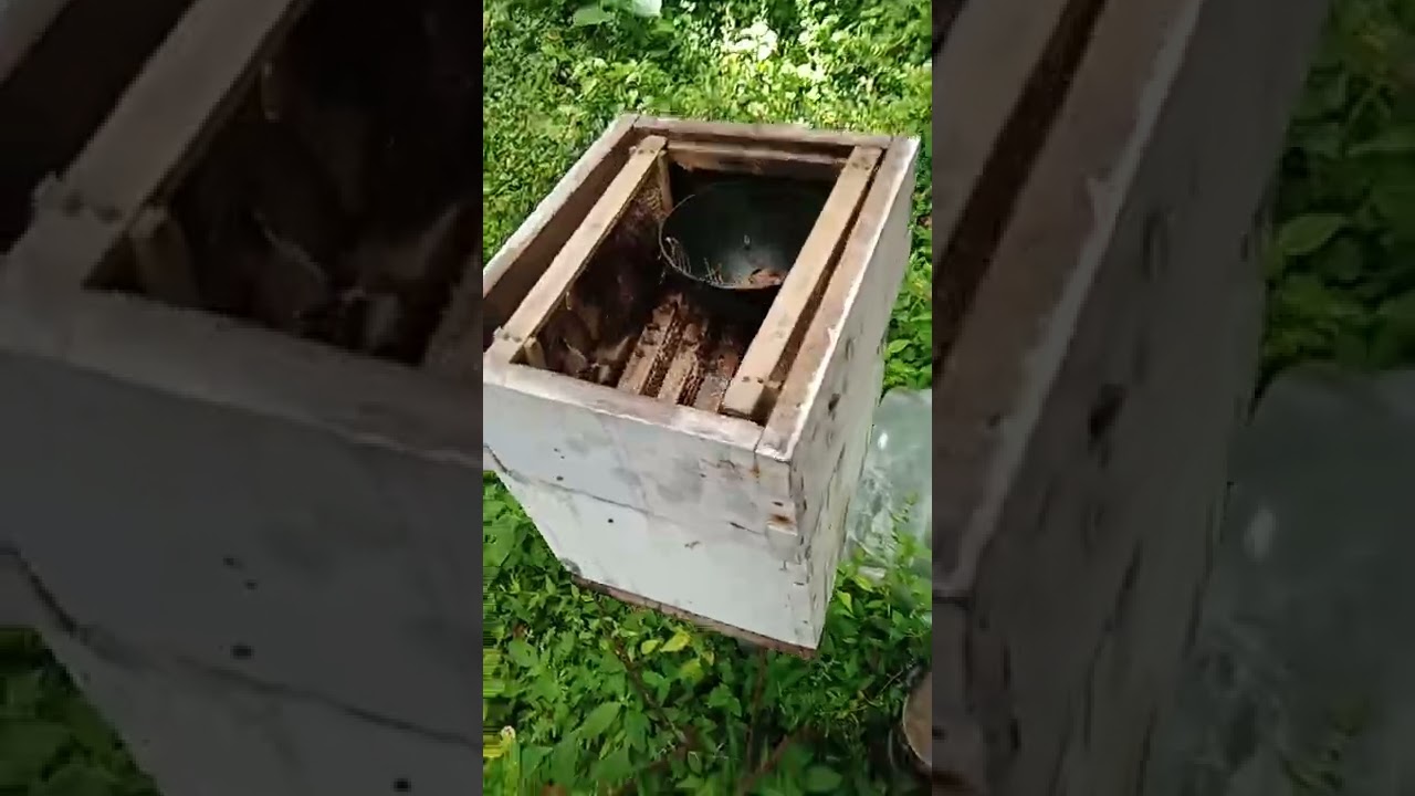 bee hive splitting..how to split bee hive.. madhube bee farm 7356456239