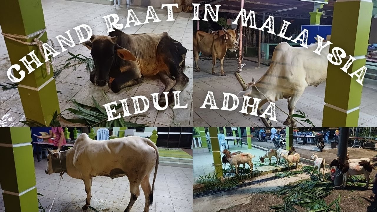 Chand Raat in Malaysia, Eid-ul-Adha 2024