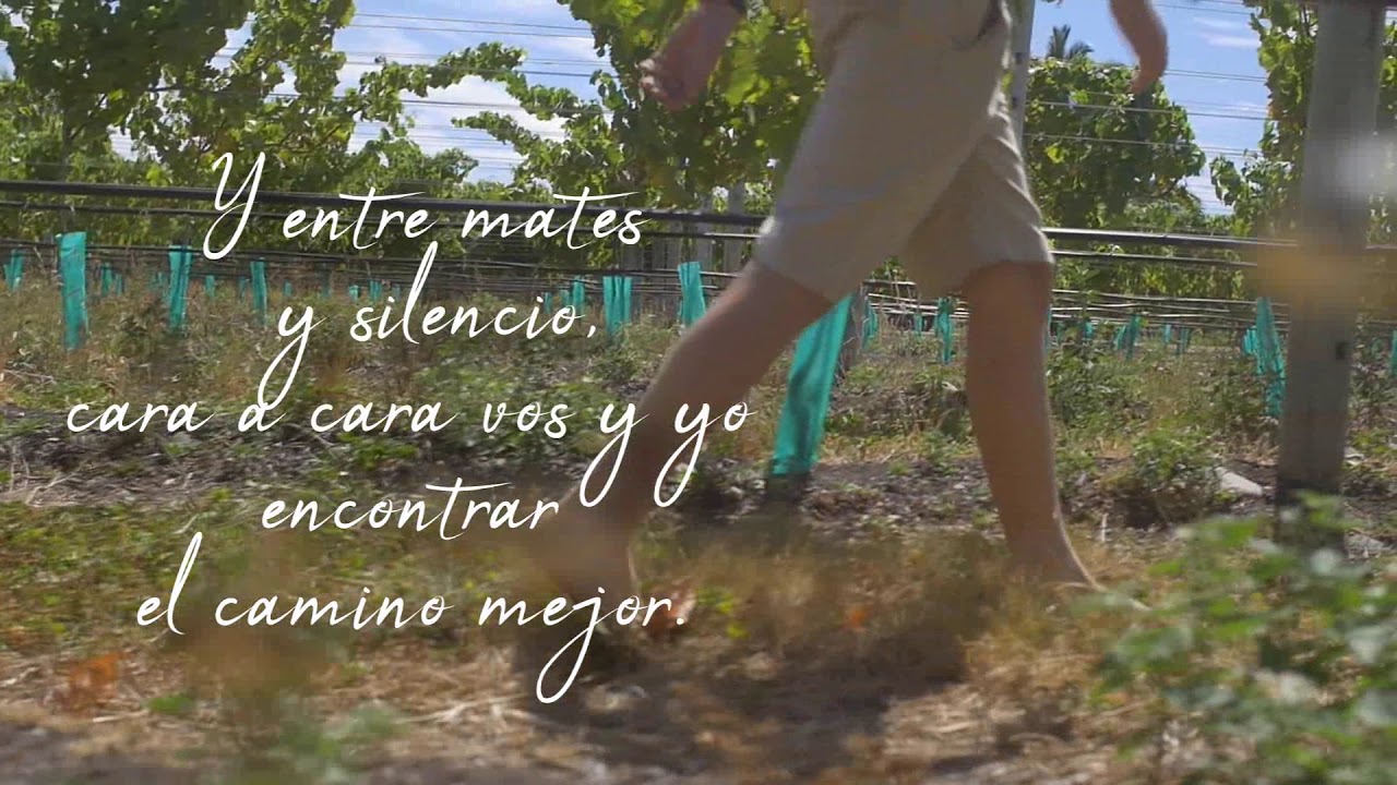 Entre mates y silencios - AMDG