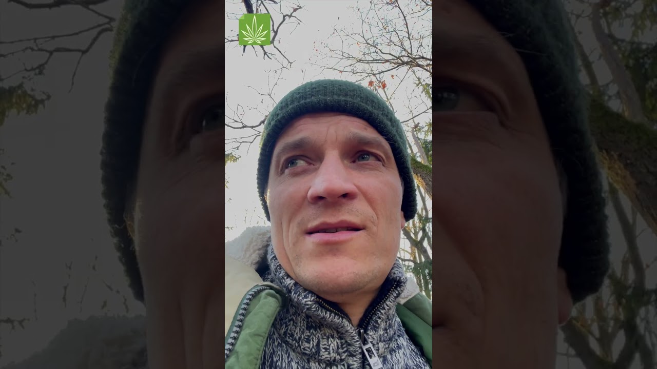 Na drodze ku legalizacji. Przystanek depenalizacja cz.12