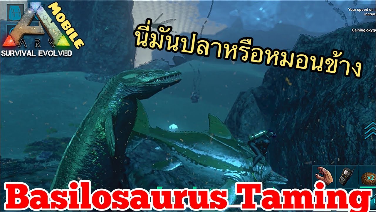 Ark Mobile มือถือ EP67 จับปลาวาฬยักษ์บาซิโลซอรัสกันเถอะ[Basilosaurus Taming]