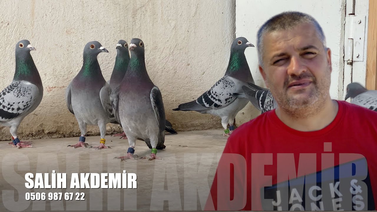 Posta Güvercin Sohbeti Salih Akdemir