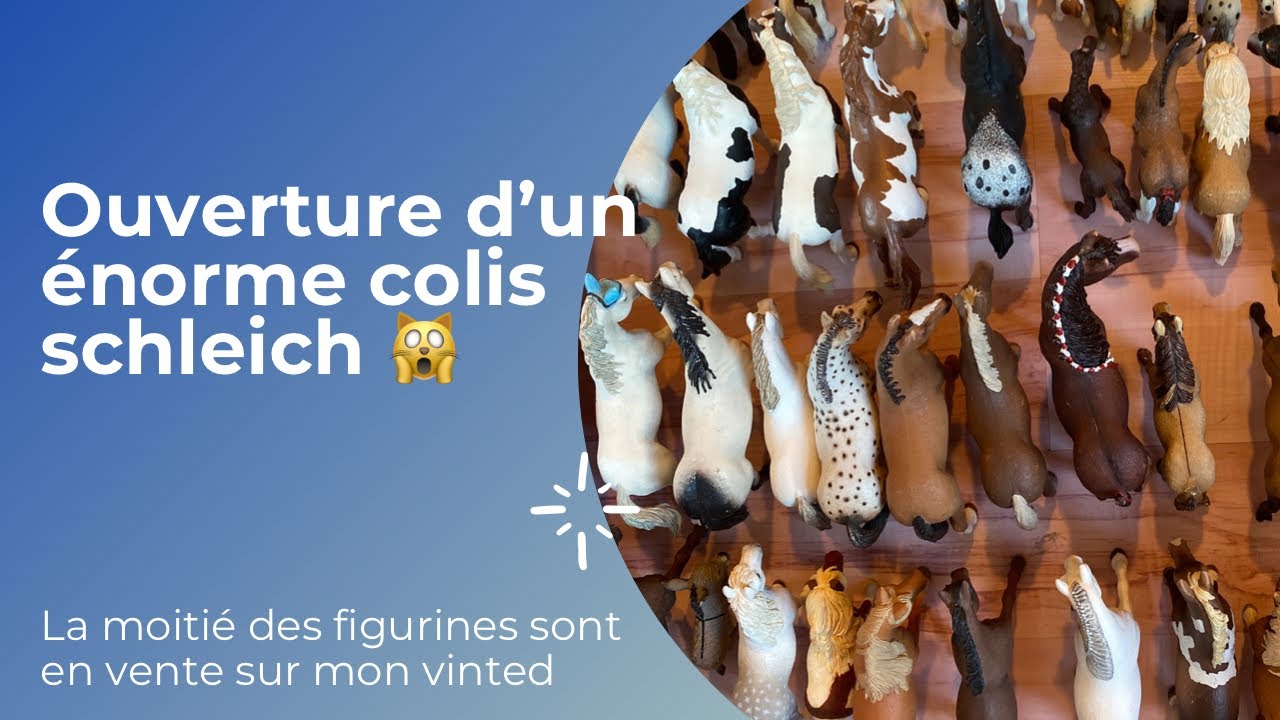 Ouverture d’un énorme colis schleich 2