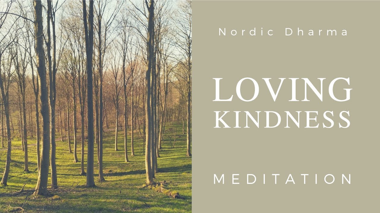Guidet meditation. Loving kindness (Metta): At udvide hjertet. 40 min.