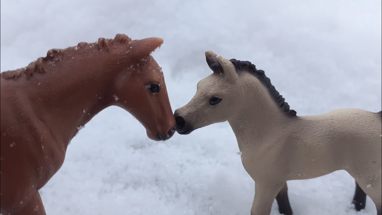 Die schwarze Herde|Schleich Serie|Folge 2 STAFFEL 2❤💌Valentinstagsspecial❤💌