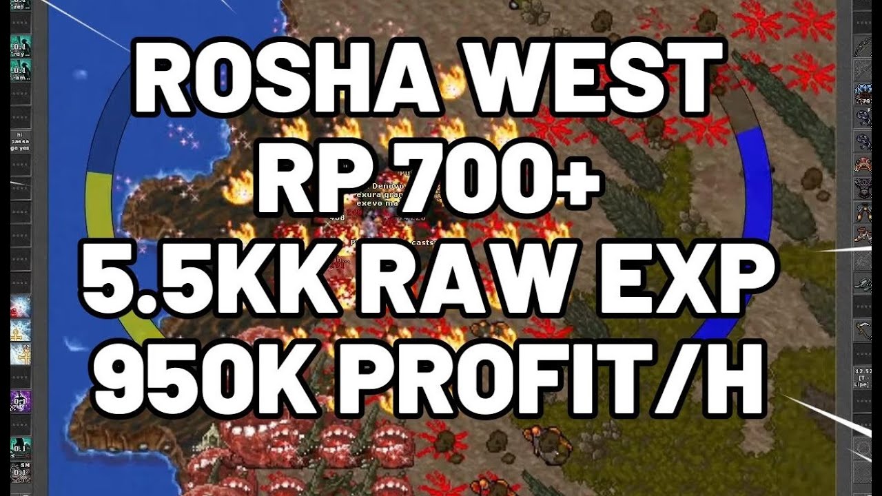 HUNT RP 700+ (SET BASICO) 5.5KK RAW EXP 950K PROFIT/H  ROSHAMUUL WEST (BOCAO)