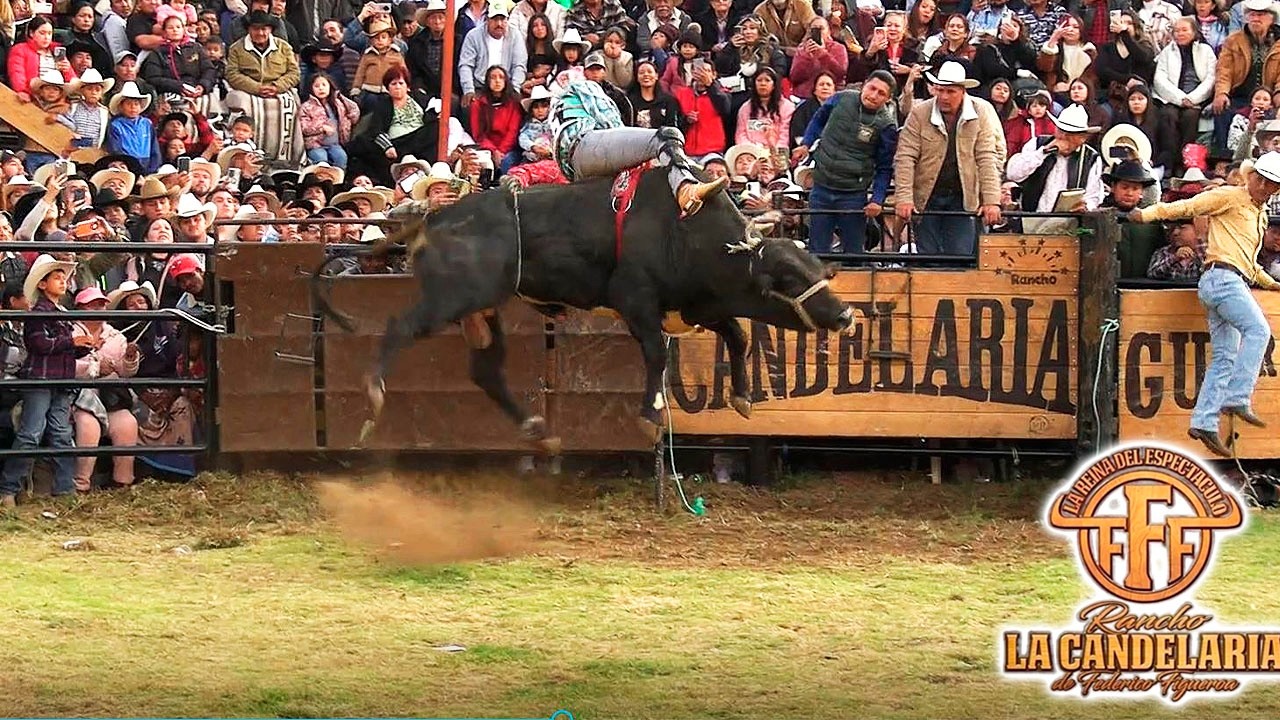 NO LLEGO FEDE PERO SI SUS TOROS!! RANCHO LA CANDELARIA JARIPEO EN SAN JUAN TUMBIO MICHOACAN 2025