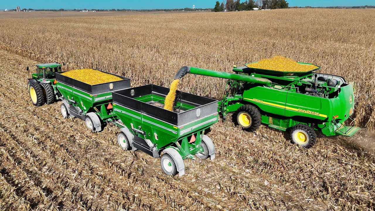 Starting Corn Harvest!