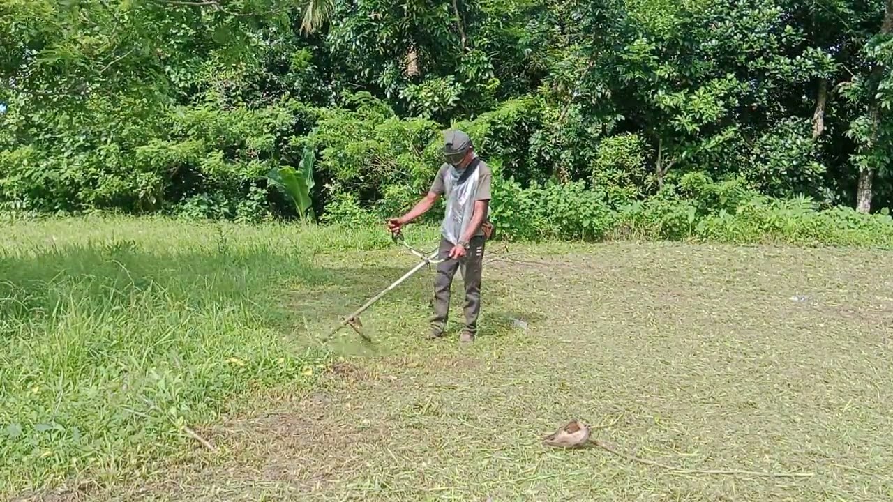 Nag suko Ako intaw og 600 ang adlaw sa pag mawer