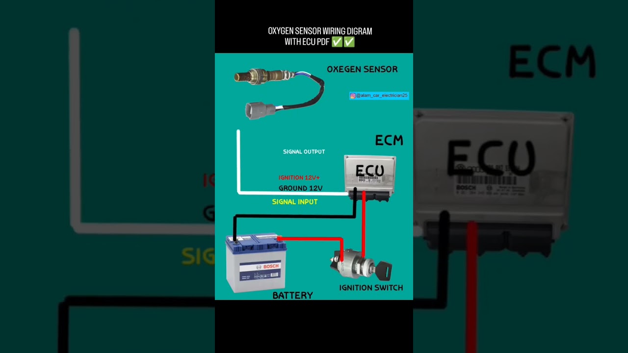 oxygen sensor wiring diagram