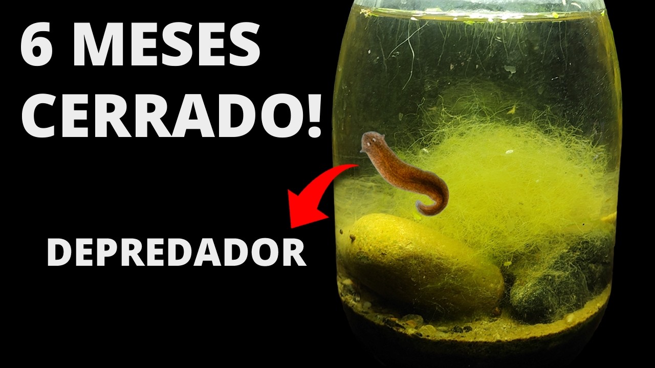 Metí Tierra y Agua en un Jarro, 6 Meses Después ESTO Apareció!