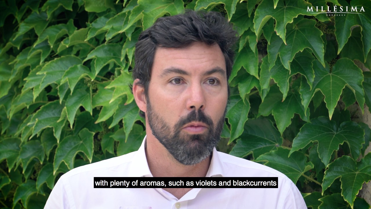 WINE - INTERVIEW - 2016 FUTURES WINE - LYNCH BAGES WINE ESTATE