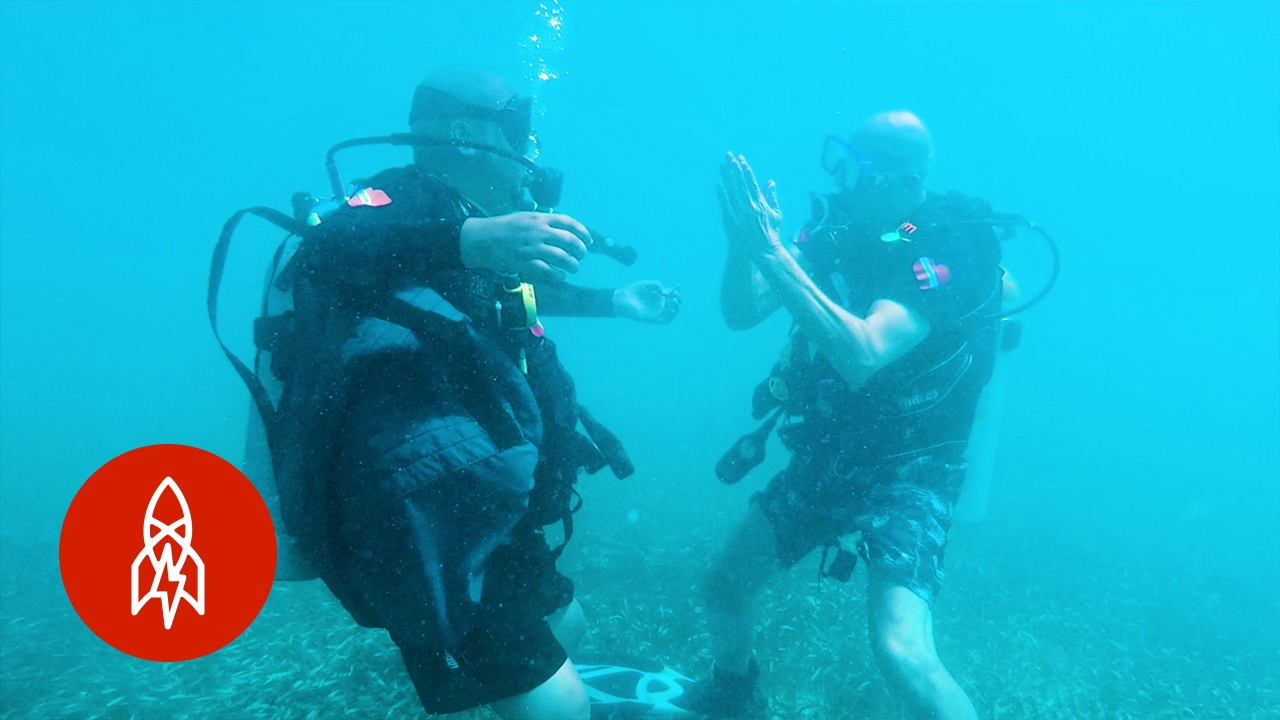 Diving Past Boundaries: Scuba as Therapy