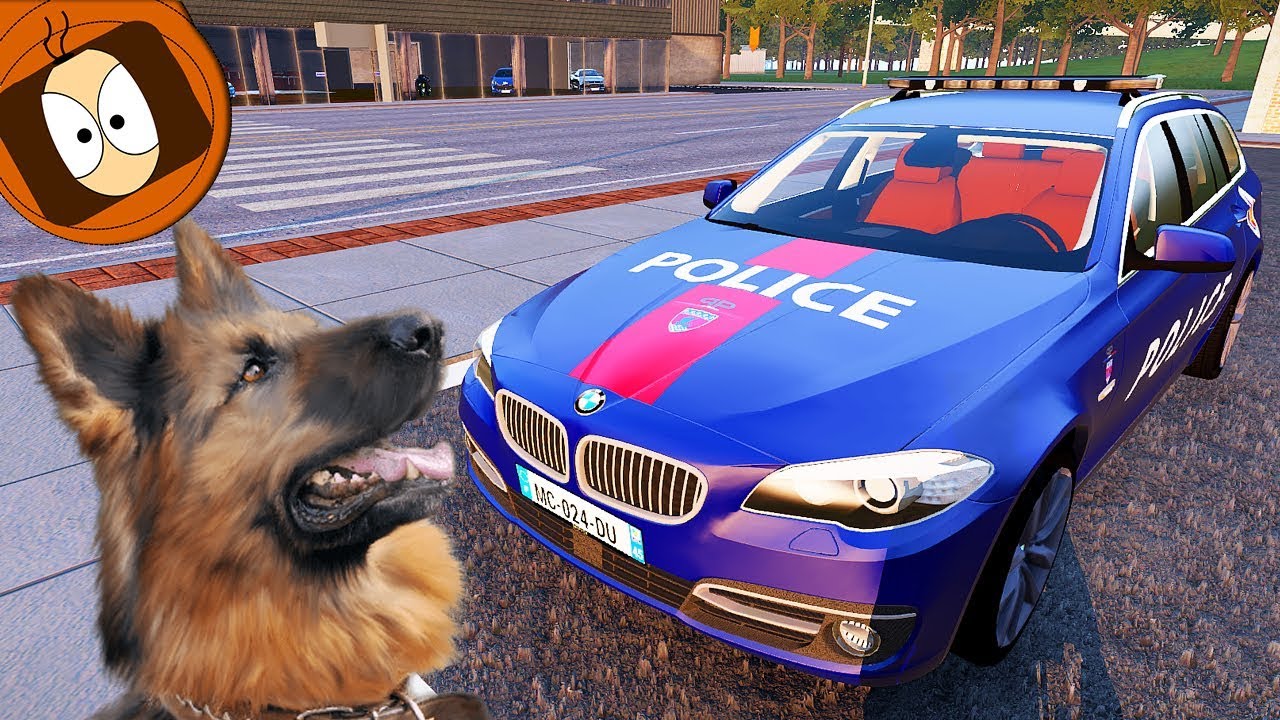 POLICE K9 RP : PATROUILLE BRIGADE CYNOPHILE EN CSI 🐶 !