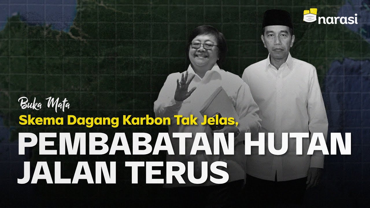 Skema Dagang Karbon Tak Jelas, Pembabatan Hutan Jalan Terus | Buka Mata