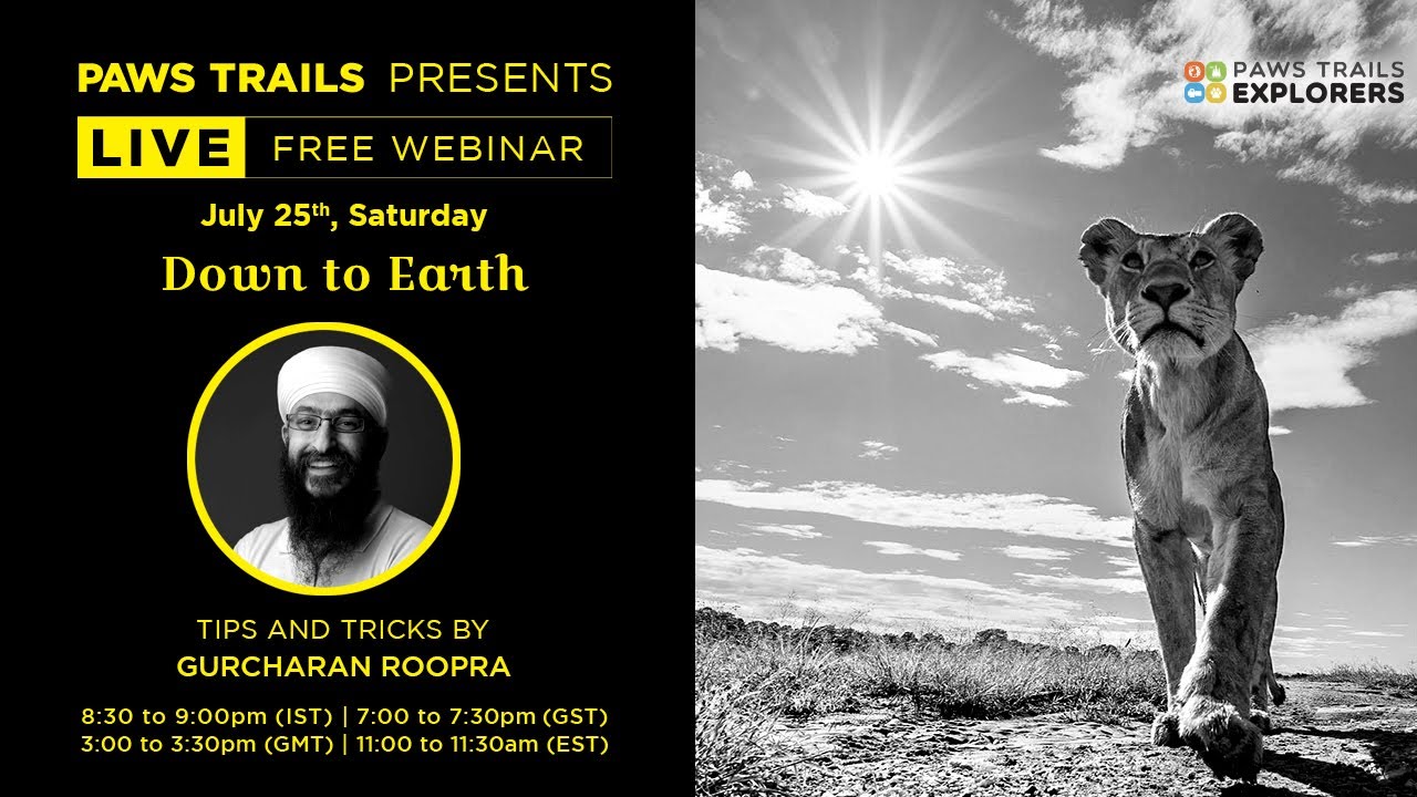 Down to Earth - Low-angle Photography Masterclass by Gurcharan Roopra