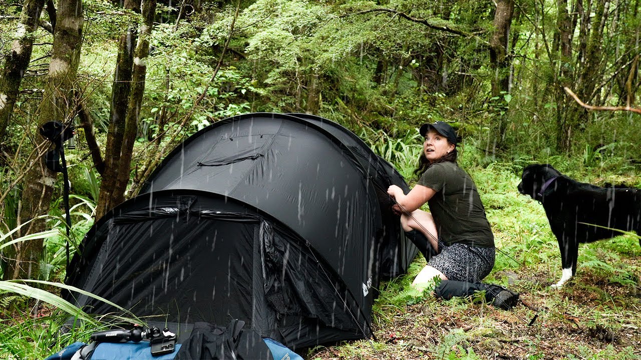 Camping with my Dog in the Light Summer Rain - River Swim - New Tent