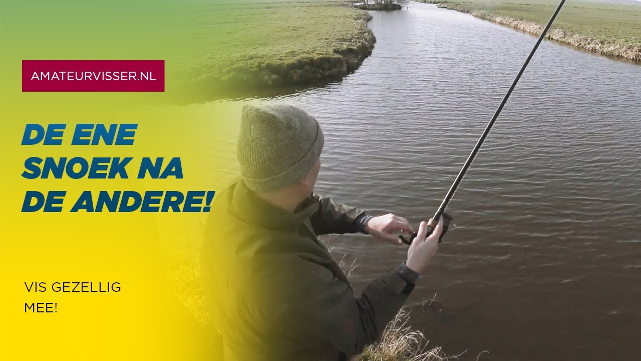 SNOEK VISSEN in de POLDER