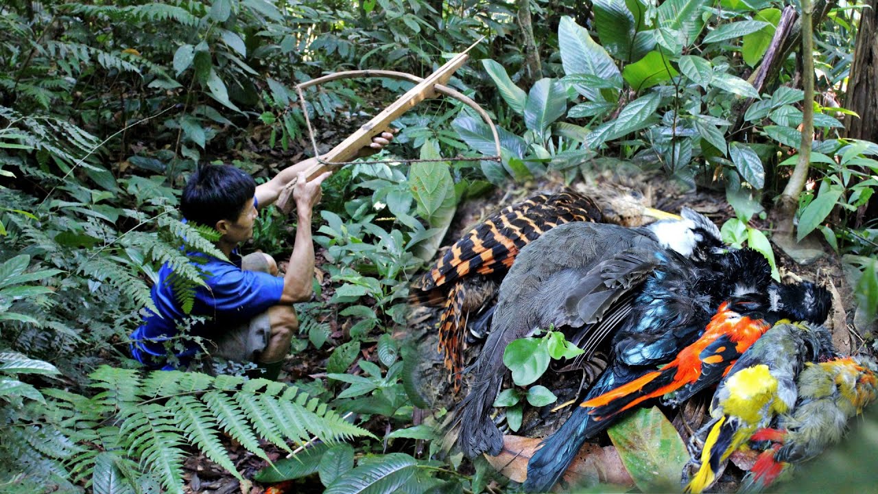 Hunting birds with wooden crossbows, Simple cooking in the forest - Survival skills