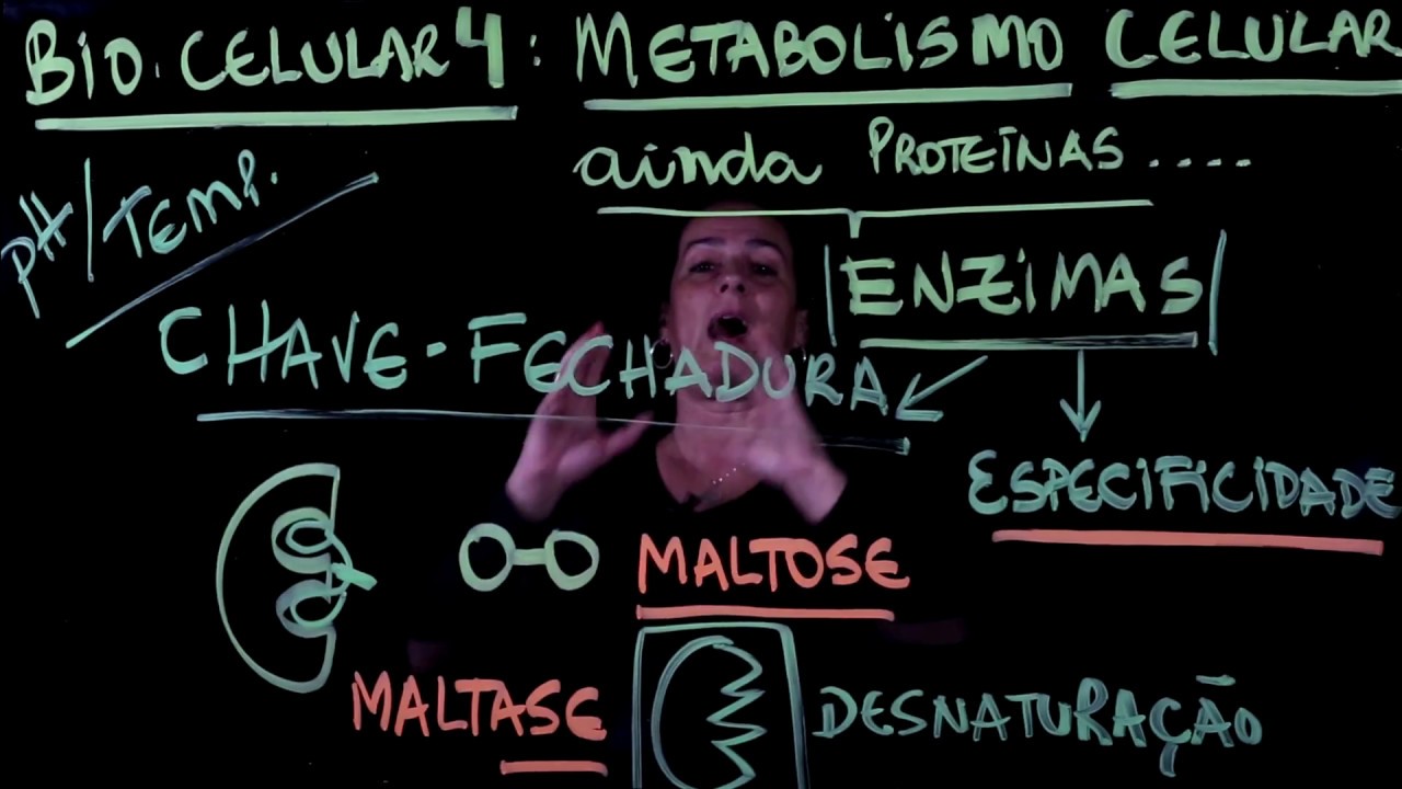 Aula 4 METABOLISMO CELULAR parte 3 Proteínas continuação