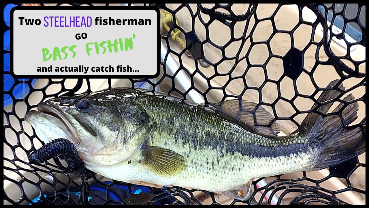 Oregon Bass Fishing Collab | Featuring PDX Fishing & Boneyard Bassin'