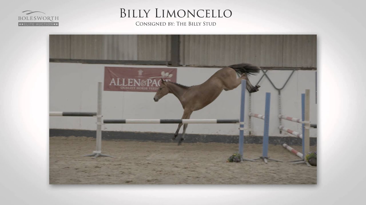 Bolesworth Elite Auction 2015 Yearlings