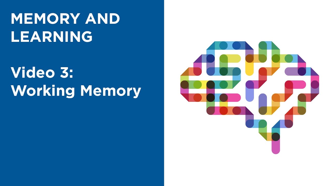 MOOC EDSCI1x | Video 3: Working Memory | Memory and Learning