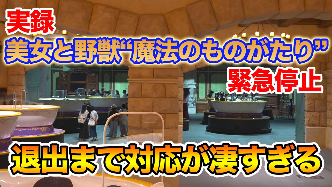 【実録】美女と野獣“魔法のものがたり”緊急停止から退出まで  /  東京ディズニーランド