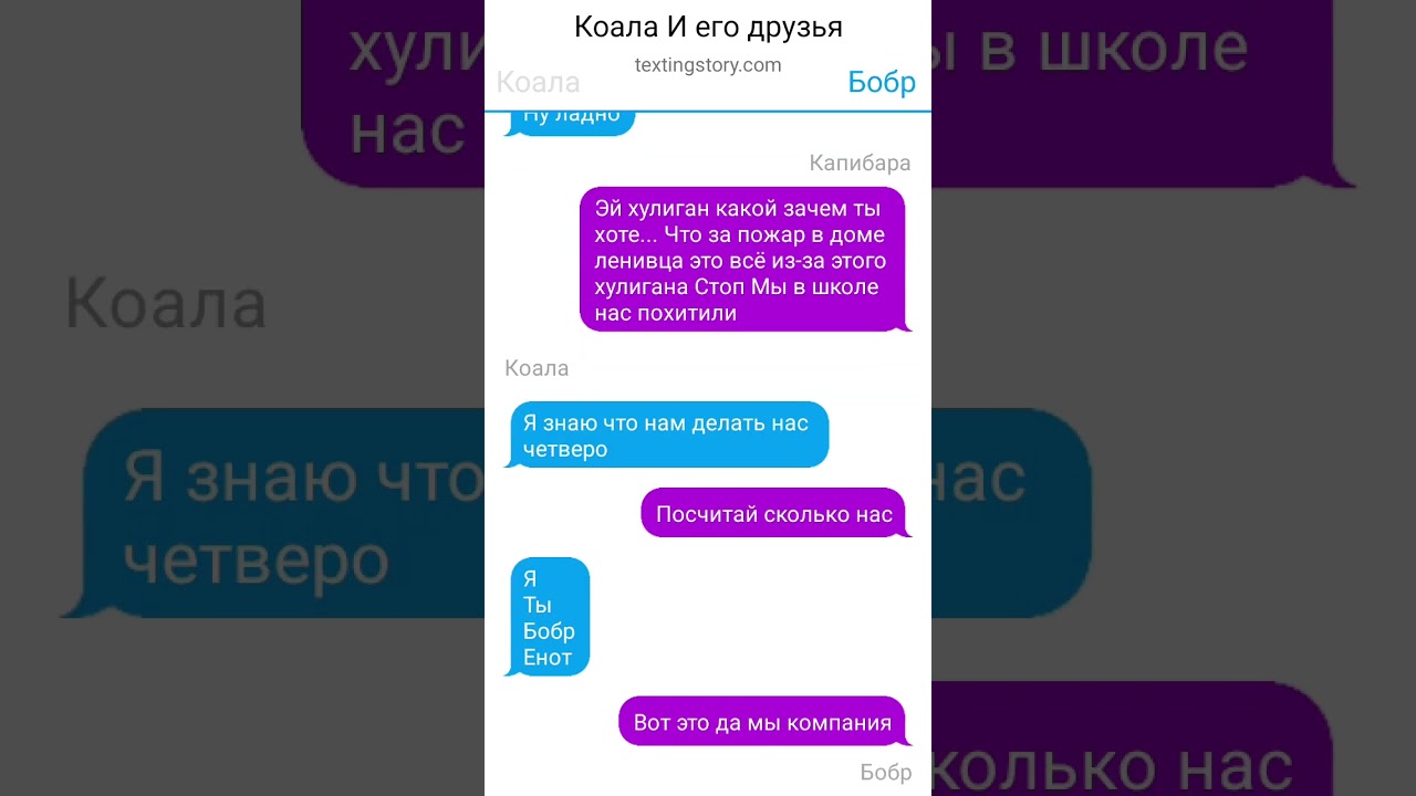 Коала и его друзья
