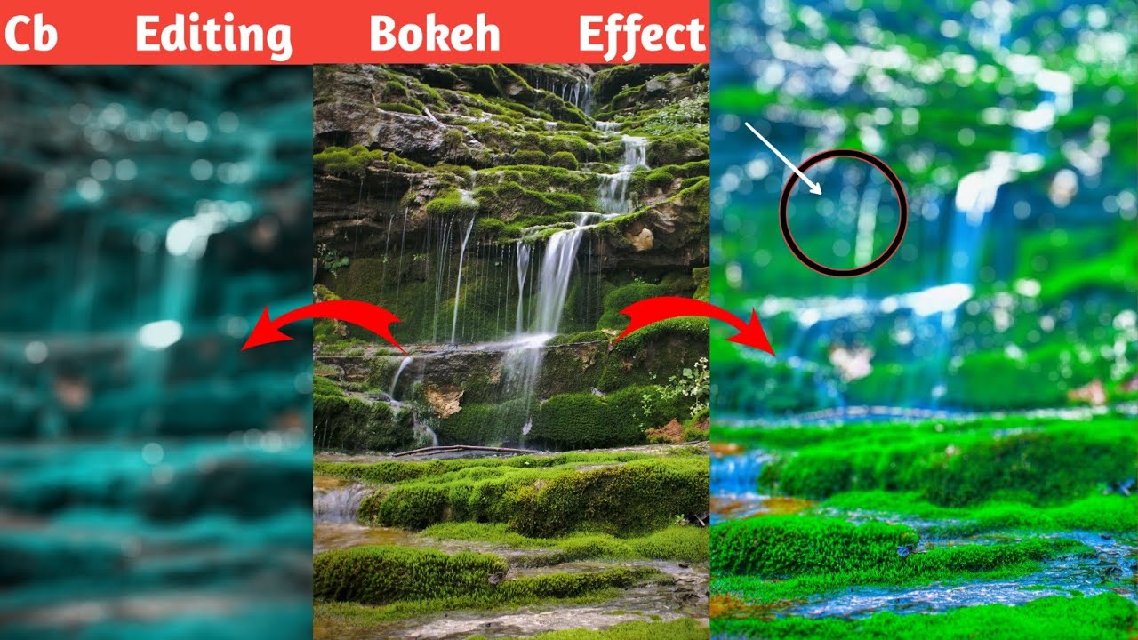 how to make bokeh background || @nsbpictures ||cb blur background download ||#misterphotowork