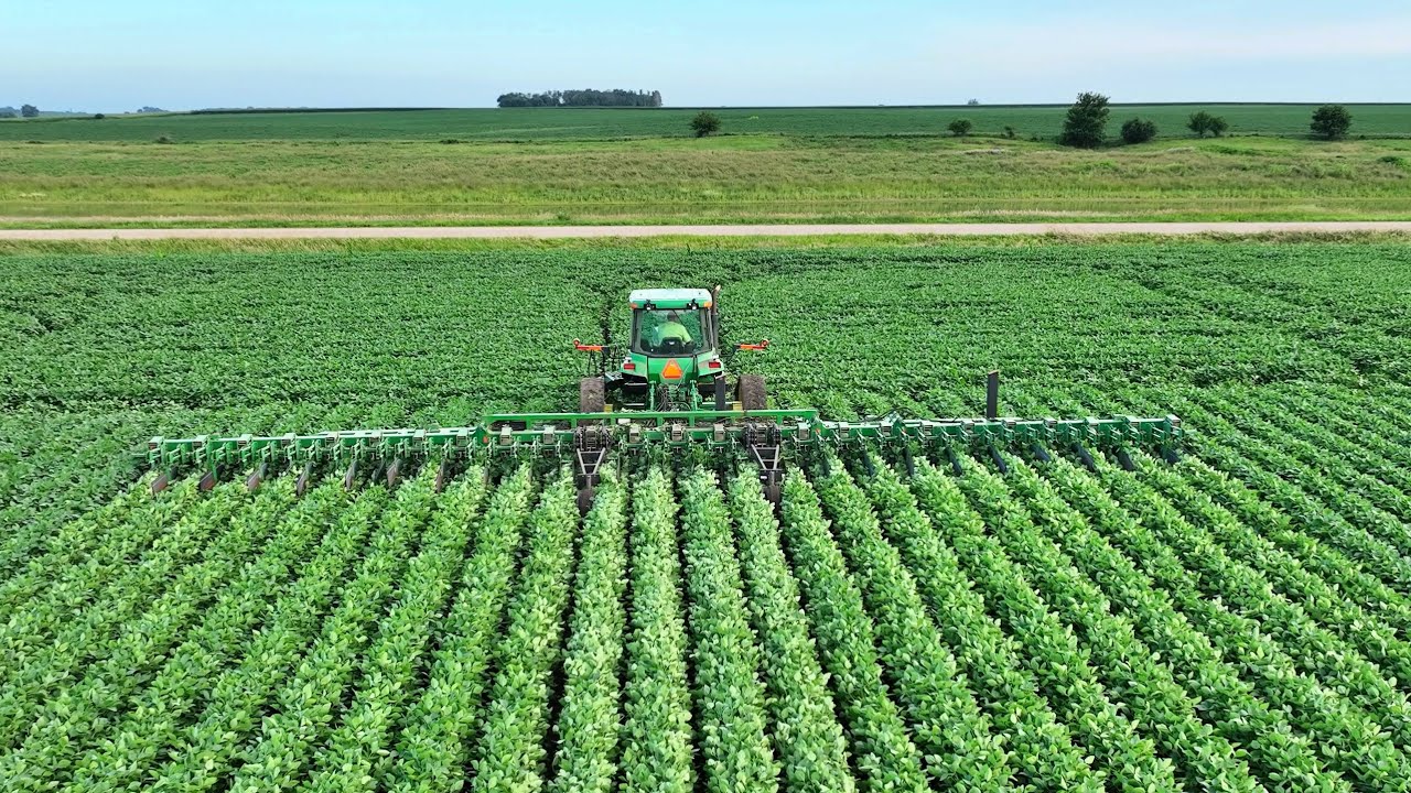 Watch out Weeds! A new cultivator is on the farm