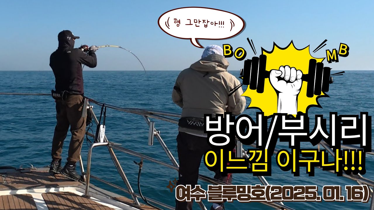 빅게임! 초보도 어렵지 않아요! #방어 #부시리 #빅게임 #여수 #블루밍호 #키우라