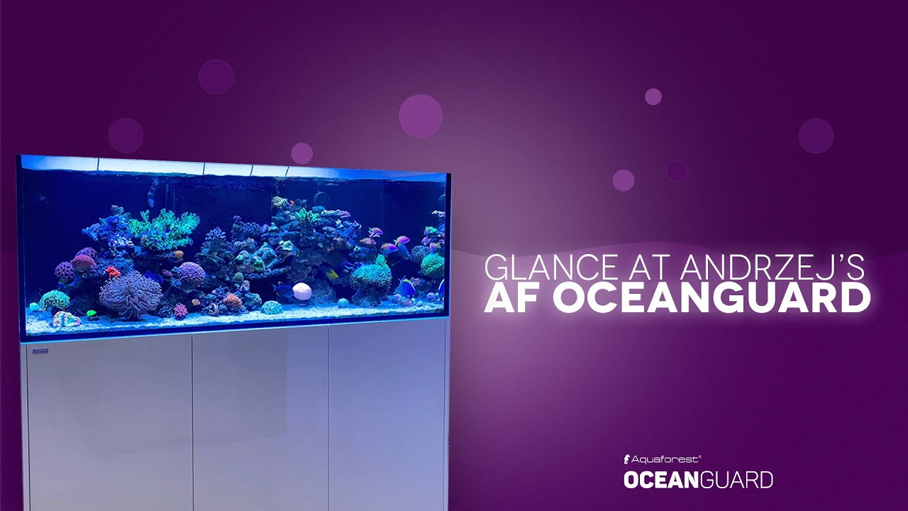 Andrzej's OceanGuard AF980