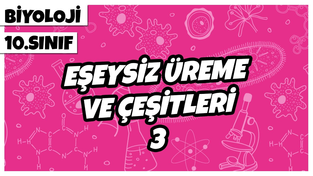 10. Sınıf Biyoloji - Eşeysiz Üreme ve Çeşitleri -3 | 2022