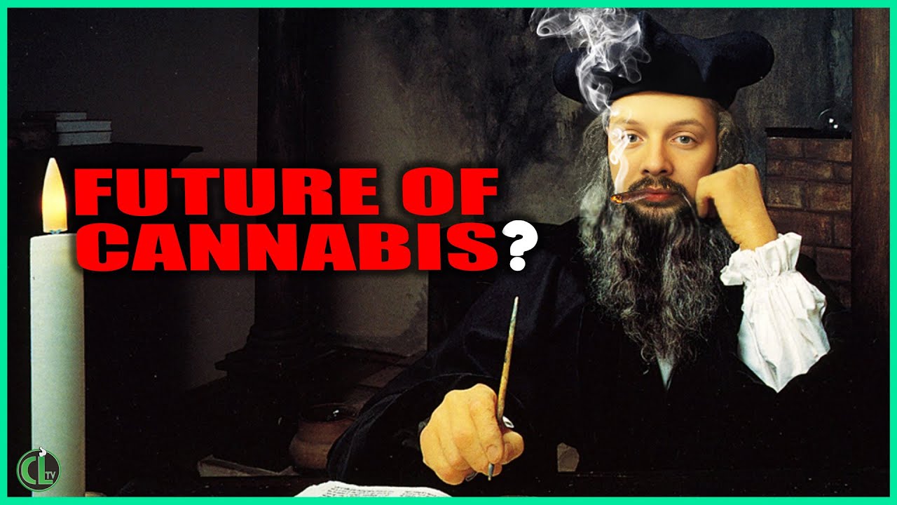 This is the Future of Cannabis For Home Growers AND Consumers