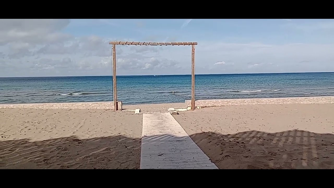 Targonca jogsi olaszosan