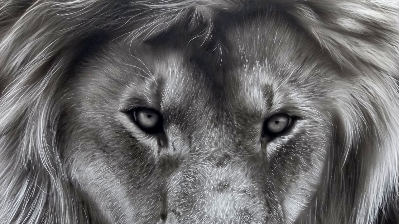 Lion in black and white using airbrush on clayboard 24x30