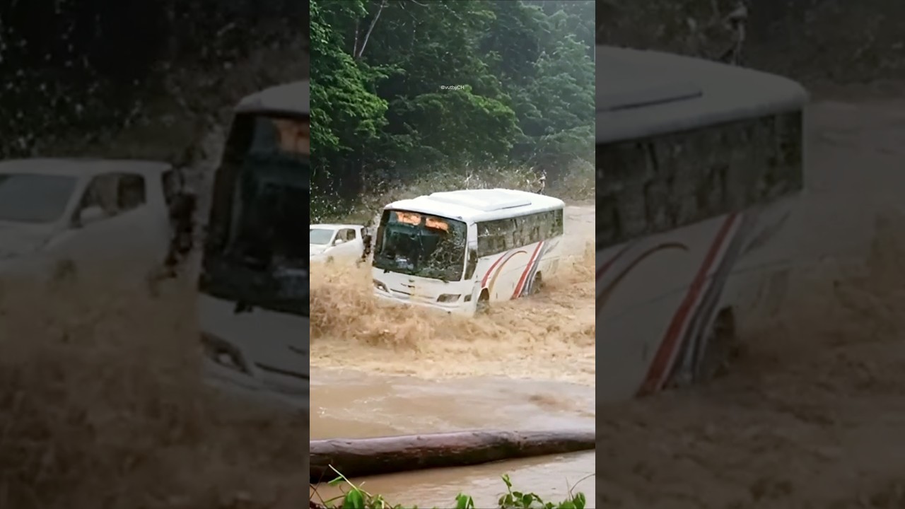 Buses Trapped in Flash Flood! Extreme River Crossing Caught on Camera 🌧️🚛 #shorts #river  #car #ai